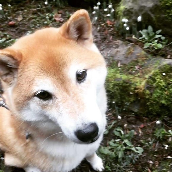 Meet Your Seller - Picture 5 of 6